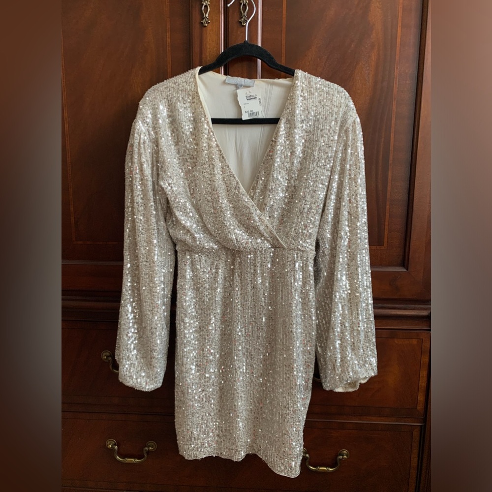Sparkly Dress